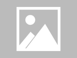 世纪公园樱花季全攻略：最佳摄影点位与私藏游览路线大公开